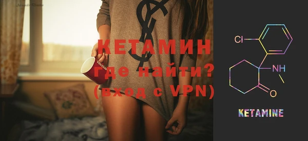 индика Няндома