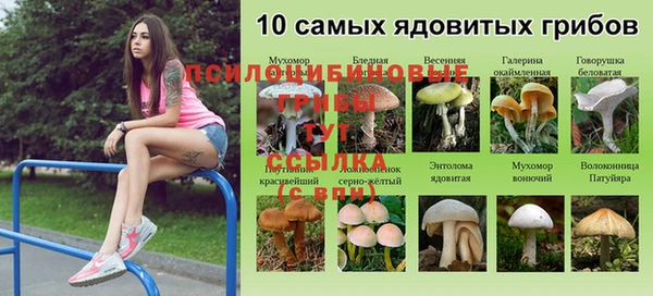 PSILOCYBIN Абинск