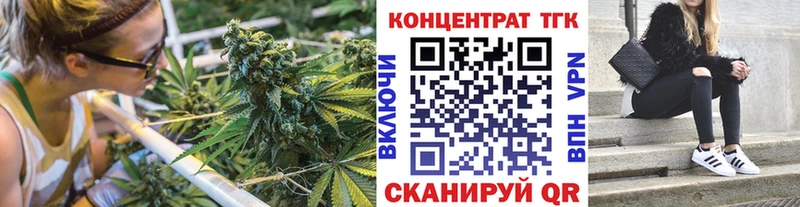 omg ссылки  даркнет Telegram  Анива  ТГК THC oil  где купить  