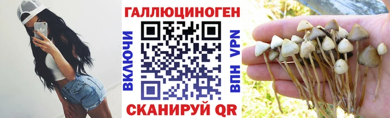 купить наркоту Анива Галлюциногенные грибы мухоморы